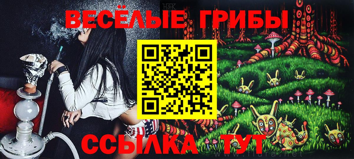 Кемерово  Псилоцибиновые грибы прущие грибы  Вход с VPN 